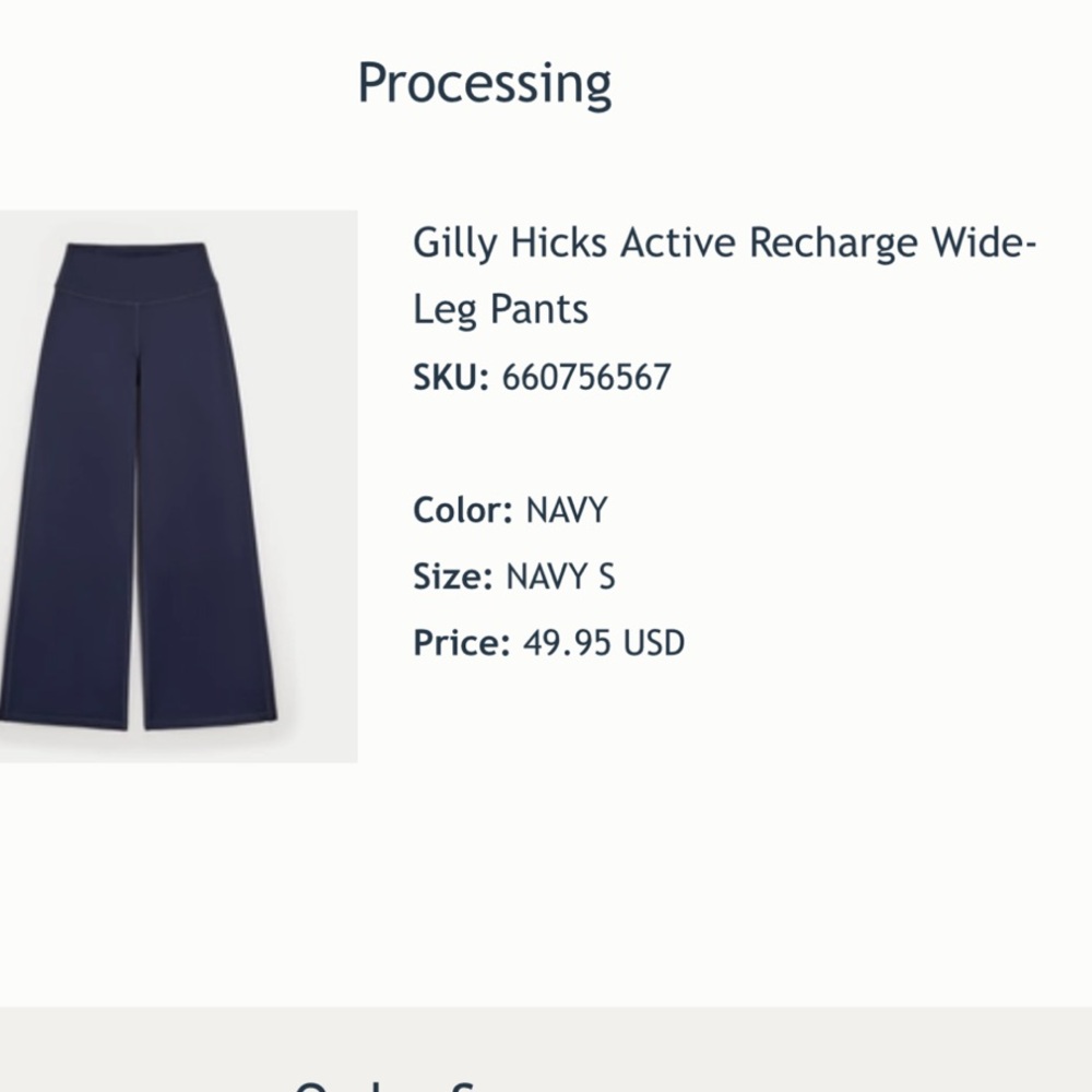 Gilly Hicks Navy Wide-Leg Pants